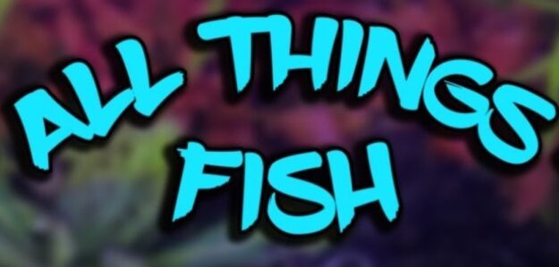 All Things Fish