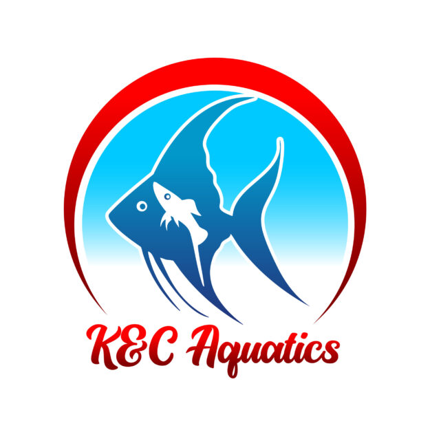K&C aquatics